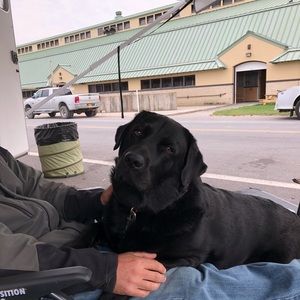 Meet your Posher, Pam